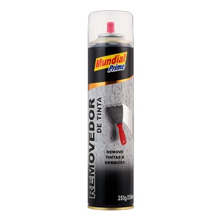 Removedor De Tinta Spray 350ml/250g 17201 AE01000078