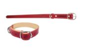 Coleira Caes Vermelha Sem Feltro 26 42cm 1498 17