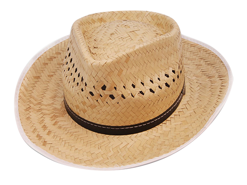 Featured image of post Chapeu De Palha Png Descubra mais de 52021 1 na nossa sele o no aliexpress com incluindo marcas tops 1